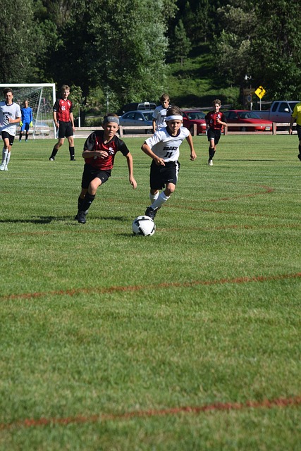 能在這個奧 能在這個奧