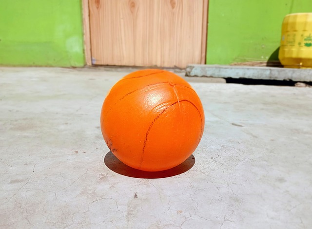 种正面的家 种正面的家