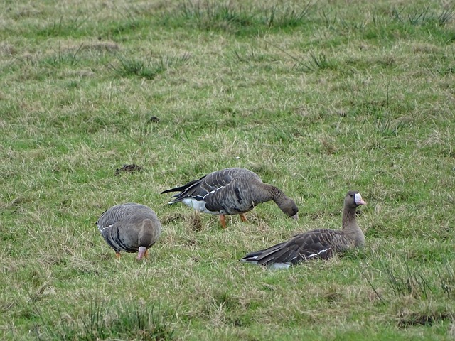 助攻阿隆 助攻阿隆