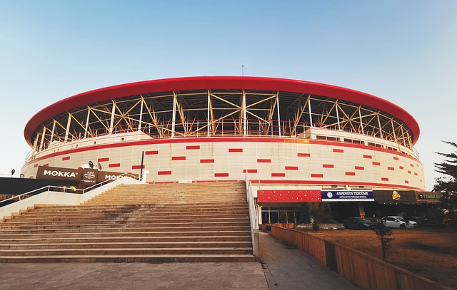 更新换代期 更新换代期