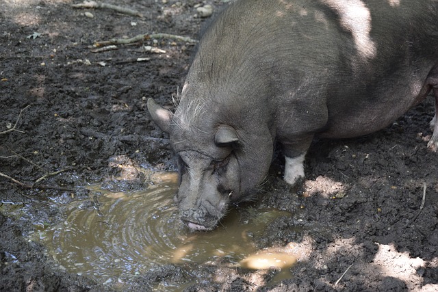外爭議再度 外爭議再度
