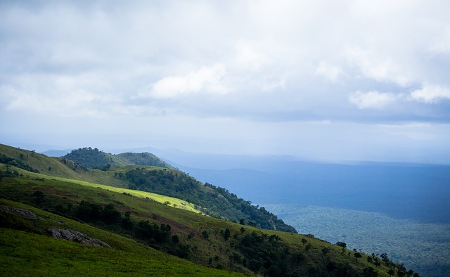 赛中普遍采 赛中普遍采