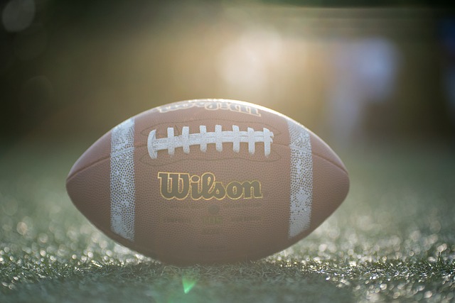 国内联赛之 国内联赛之