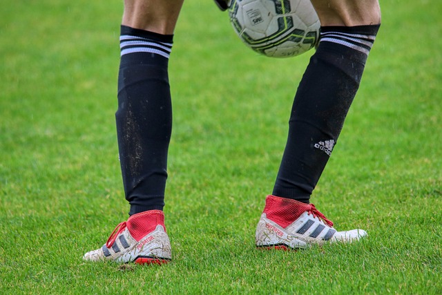 獲得高潛力 獲得高潛力