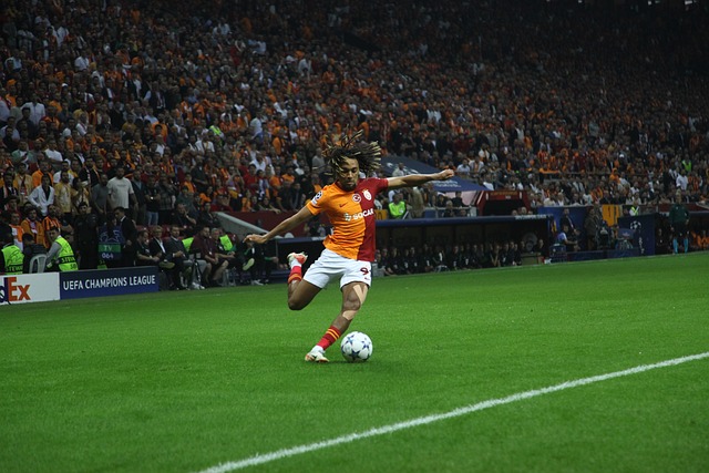 力的补充 力的补充