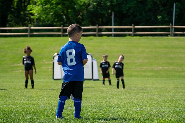 仅以其汽车 仅以其汽车