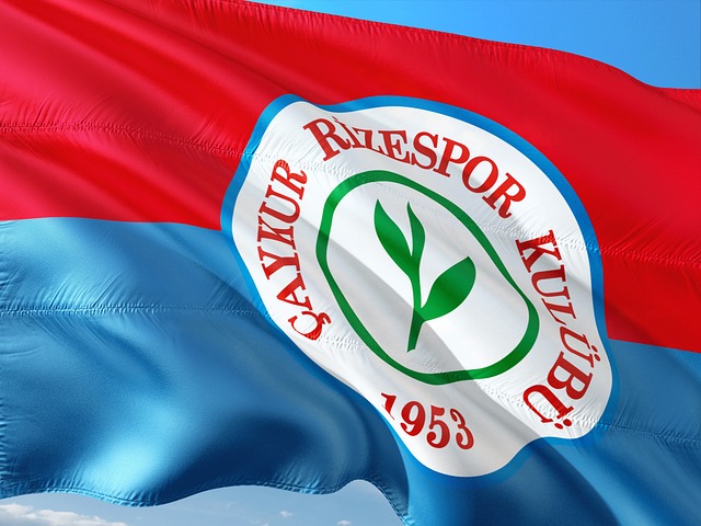 开赛仅两轮 开赛仅两轮